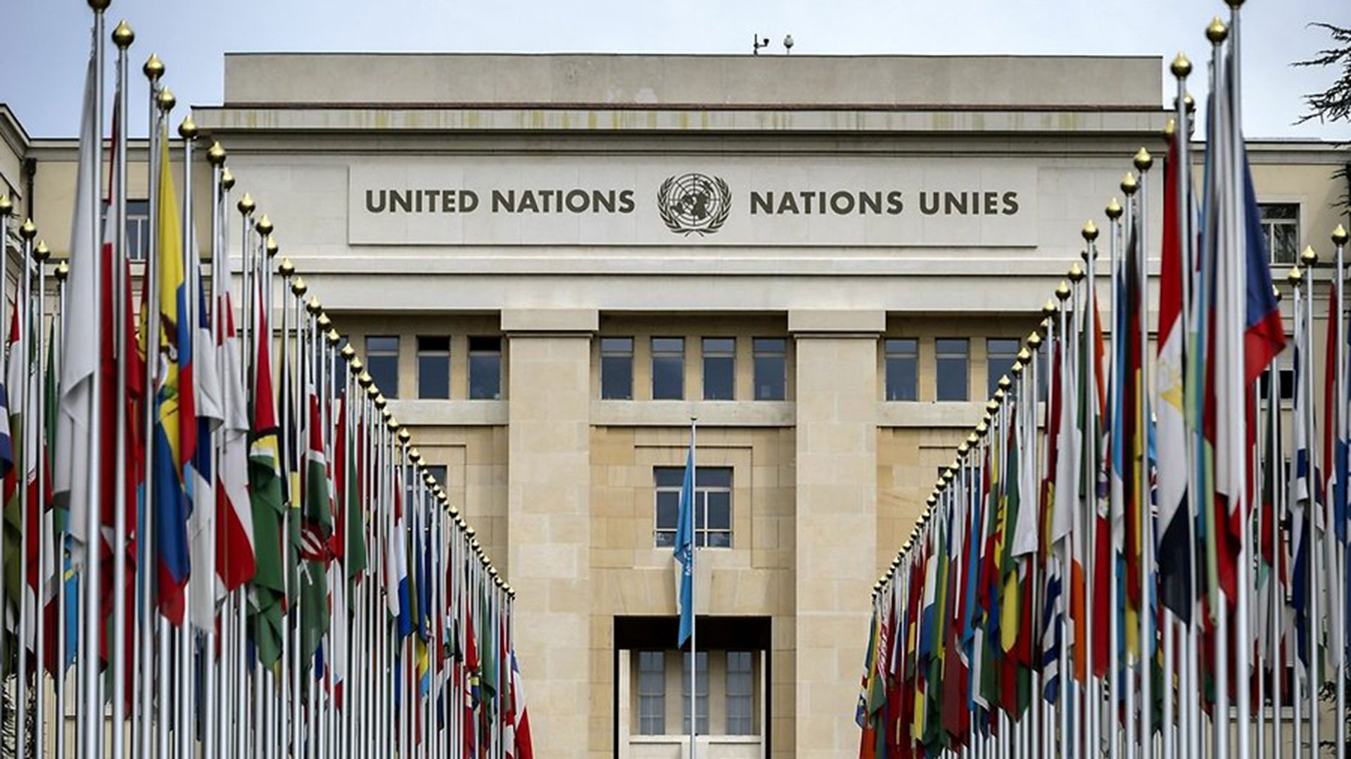 Lee más sobre el artículo 32 países se unen ante la ONU para declarar (ningún derecho internacional al aborto)