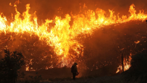 Lee más sobre el artículo Ola de calor en EE.UU desata terribles incendios tras las altas temperaturas