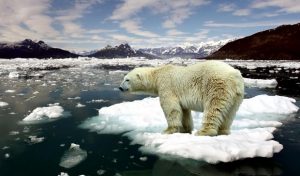 Lee más sobre el artículo Científico Ambiental afirma Derretimiento de glaciares en Groenlandia “EL FIN DE NUESTRO PLANETA”