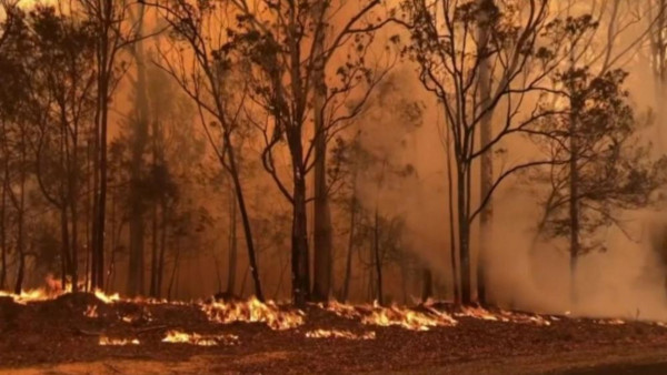 Lee más sobre el artículo Iglesia Hillsong recauda más de $1 millón para combatir los incendios en Australia