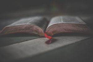 Lee más sobre el artículo ¿Qué quiere decir la Biblia cuando dice que no juzguemos a otros?