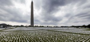 Lee más sobre el artículo EE.UU Honra a los muertos por covid con 600.000 banderas blancas en Washington