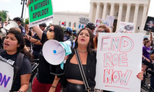 Lee más sobre el artículo Congreso Vida y Familia celebra anulación de Roe versus Wade