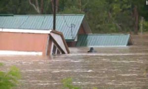 Lee más sobre el artículo ‘Oren por los afectados’: Inundaciones en Kentucky elevan número de muertos