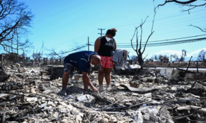 Lee más sobre el artículo Iglesias en Hawái brindan ayuda a afectados por incendios