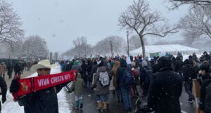 Lee más sobre el artículo ‘Marcha por la Vida’: Multitud de activistas provida desafían la nieve en DC