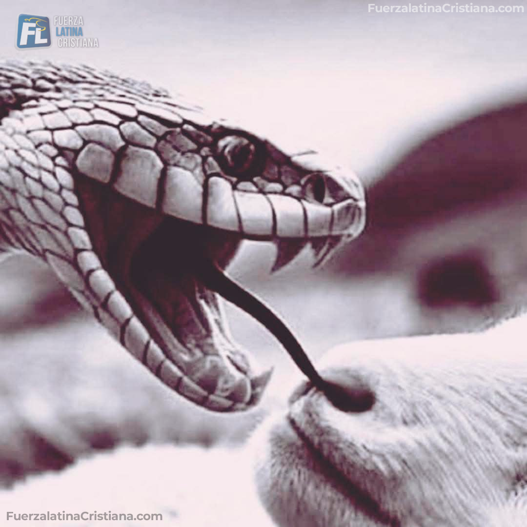 Lee más sobre el artículo La Serpiente de Cascabel 